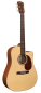 Preview: Anchor Guitars Eagle Europe 45 CW AE